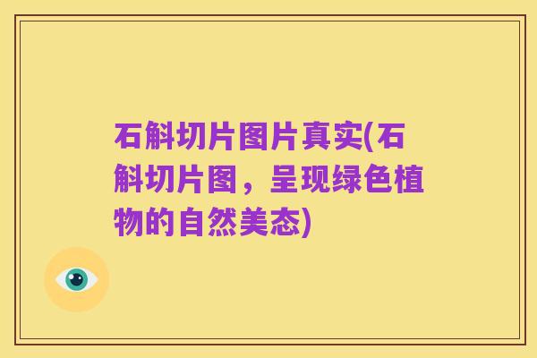 石斛切片图片真实(石斛切片图,呈现绿色植物的自然美态)