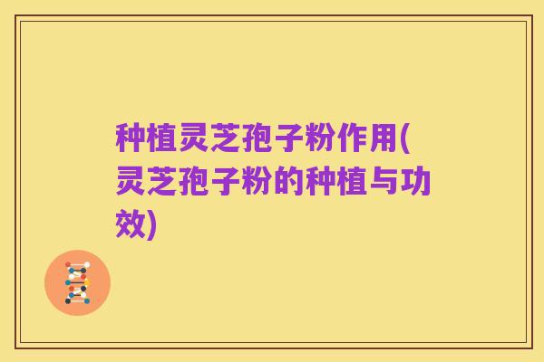 种植灵芝孢子粉作用(灵芝孢子粉的种植与功效)