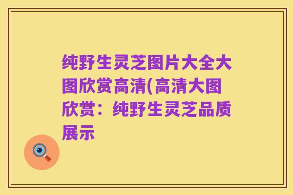 纯野生灵芝图片大全大图欣赏高清(高清大图欣赏：纯野生灵芝品质展示