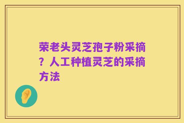 荣老头灵芝孢子粉采摘?人工种植灵芝的采摘方法