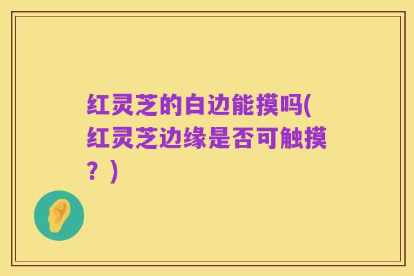 红灵芝的白边能摸吗(红灵芝边缘是否可触摸？)