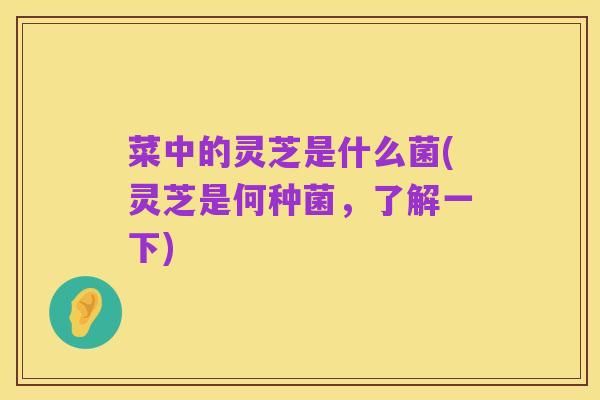 菜中的灵芝是什么菌(灵芝是何种菌,了解一下)