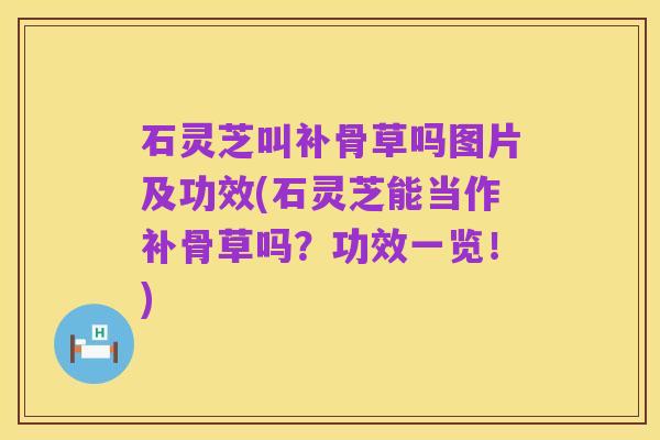 石灵芝叫补骨草吗图片及功效(石灵芝能当作补骨草吗？功效一览！)