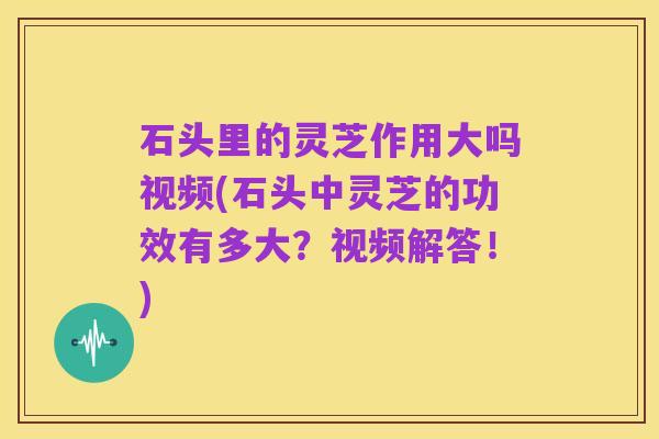 石头里的灵芝作用大吗视频(石头中灵芝的功效有多大？视频解答！)