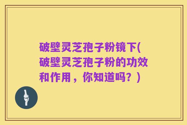 破壁灵芝孢子粉镜下(破壁灵芝孢子粉的功效和作用,你知道吗?)