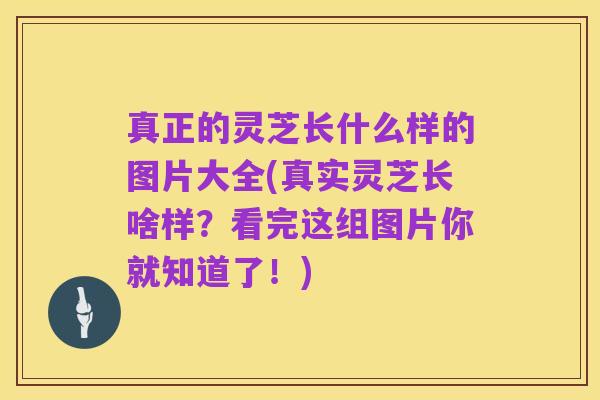 真正的灵芝长什么样的图片大全(真实灵芝长啥样?看完这组图片你就知道了!)