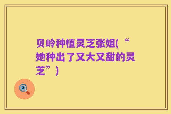 贝岭种植灵芝张姐(“她种出了又大又甜的灵芝”)