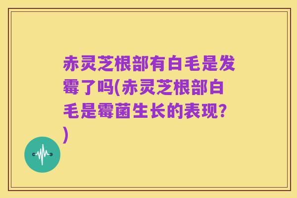 赤灵芝根部有白毛是发霉了吗(赤灵芝根部白毛是霉菌生长的表现?)
