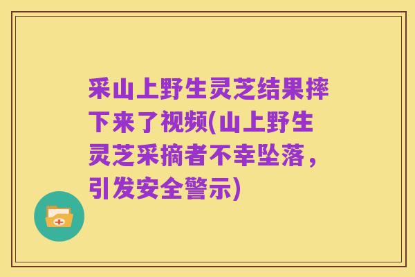 采山上野生灵芝结果摔下来了视频(山上野生灵芝采摘者不幸坠落，引发安全警示)