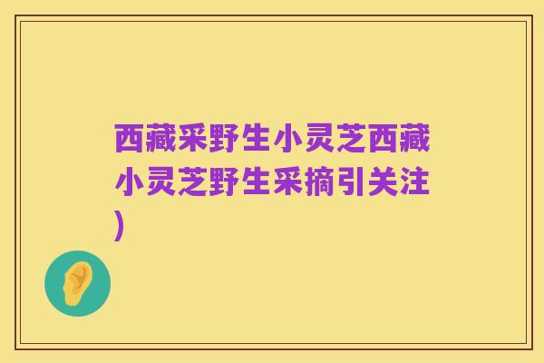 西藏采野生小灵芝西藏小灵芝野生采摘引关注)