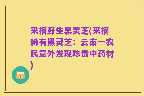 采摘野生黑灵芝(采摘稀有黑灵芝:云南一农民意外发现珍贵中药材)