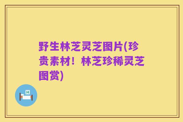 野生林芝灵芝图片(珍贵素材！林芝珍稀灵芝图赏)