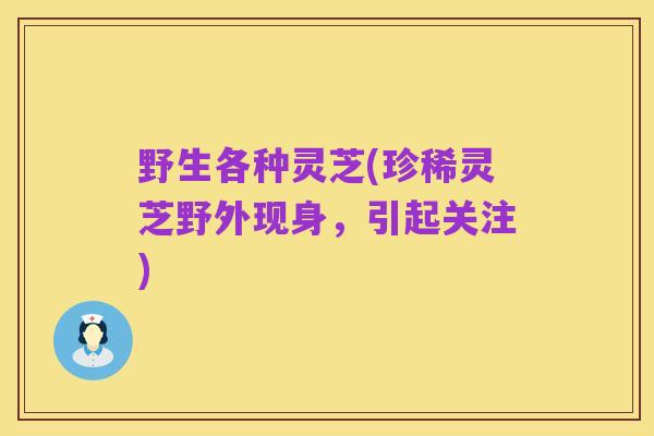 野生各种灵芝(珍稀灵芝野外现身,引起关注)
