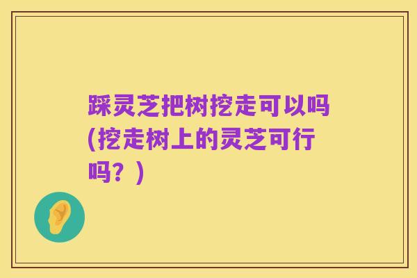 踩灵芝把树挖走可以吗(挖走树上的灵芝可行吗?)