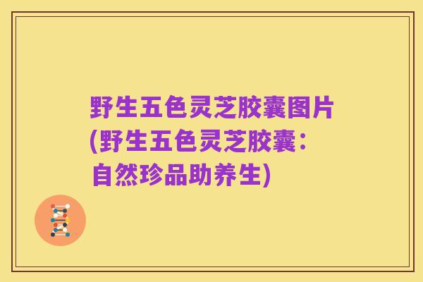 野生五色灵芝胶囊图片(野生五色灵芝胶囊:自然珍品助养生)