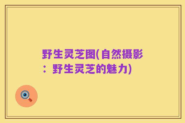 野生灵芝图(自然摄影:野生灵芝的魅力)