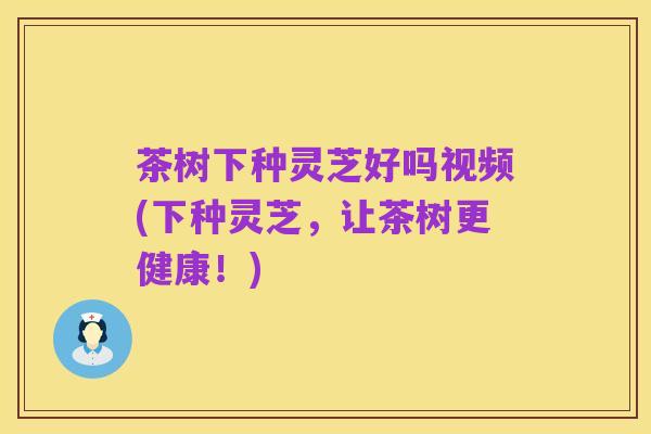 茶树下种灵芝好吗视频(下种灵芝,让茶树更健康!)