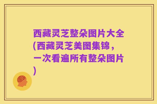 西藏灵芝整朵图片大全(西藏灵芝美图集锦,一次看遍所有整朵图片)