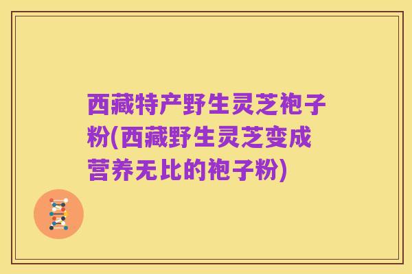 西藏特产野生灵芝袍子粉(西藏野生灵芝变成营养无比的袍子粉)