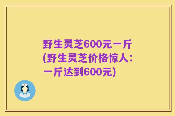 野生灵芝600元一斤(野生灵芝价格惊人:一斤达到600元)