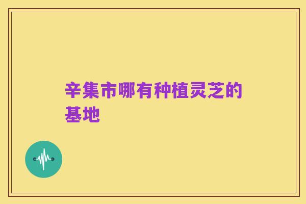 辛集市哪有种植灵芝的基地