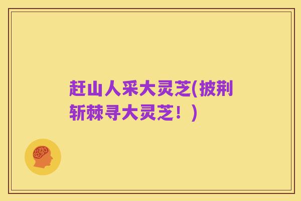 赶山人采大灵芝(披荆斩棘寻大灵芝!)