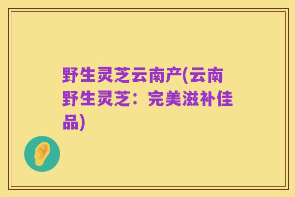 野生灵芝云南产(云南野生灵芝:完美滋补佳品)