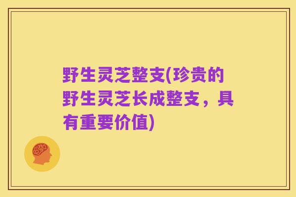 野生灵芝整支(珍贵的野生灵芝长成整支,具有重要价值)