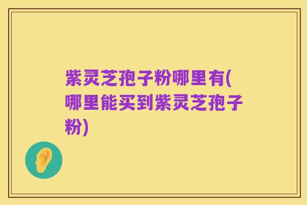 紫灵芝孢子粉哪里有(哪里能买到紫灵芝孢子粉)