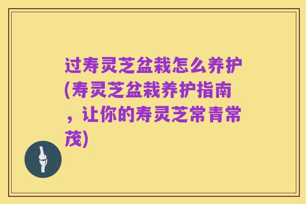 过寿灵芝盆栽怎么养护(寿灵芝盆栽养护指南,让你的寿灵芝常青常茂)