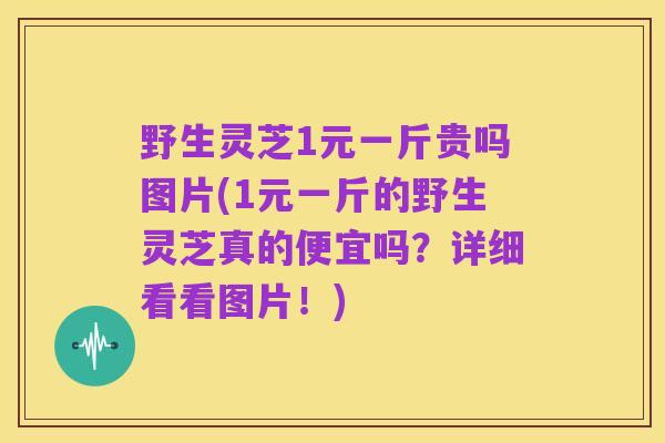 野生灵芝1元一斤贵吗图片(1元一斤的野生灵芝真的便宜吗？详细看看图片！)