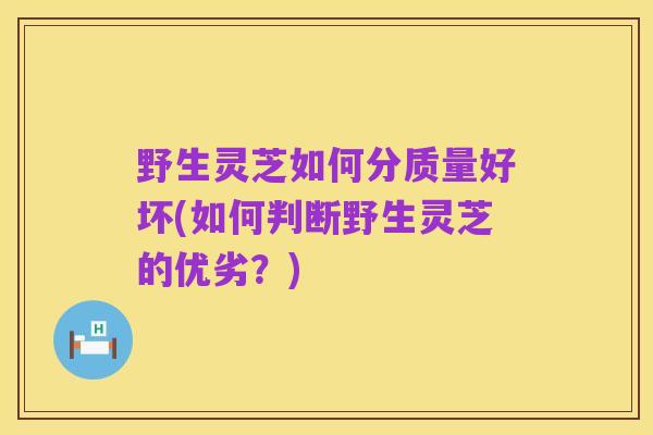 野生灵芝如何分质量好坏(如何判断野生灵芝的优劣?)