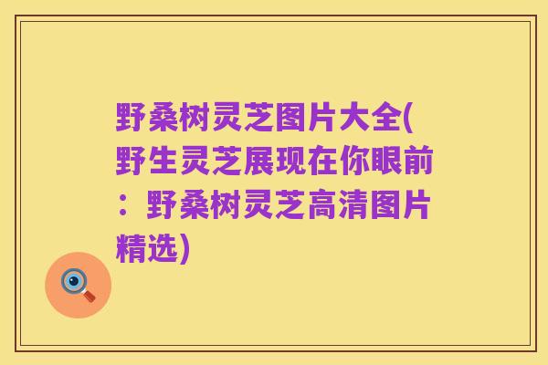 野桑树灵芝图片大全(野生灵芝展现在你眼前：野桑树灵芝高清图片精选)