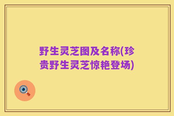 野生灵芝图及名称(珍贵野生灵芝惊艳登场)