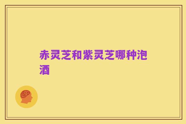 赤灵芝和紫灵芝哪种泡酒