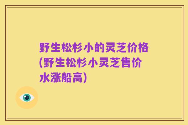 野生松杉小的灵芝价格(野生松杉小灵芝售价水涨船高)