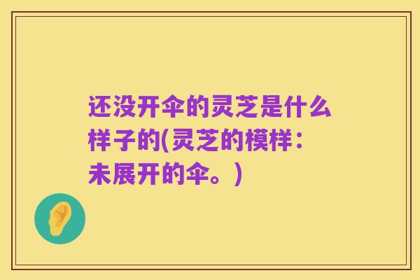还没开伞的灵芝是什么样子的(灵芝的模样：未展开的伞。)