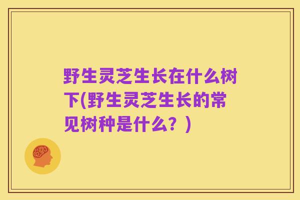 野生灵芝生长在什么树下(野生灵芝生长的常见树种是什么？)