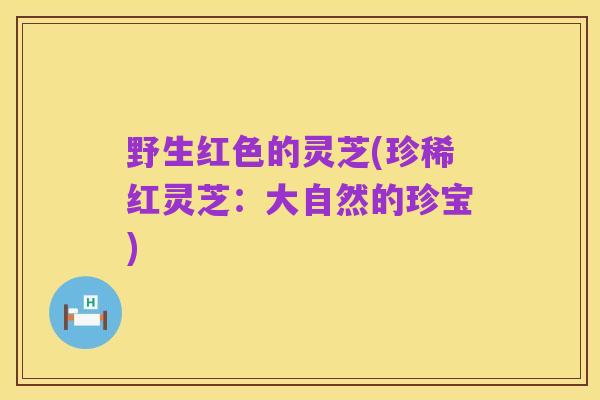 野生红色的灵芝(珍稀红灵芝:大自然的珍宝)