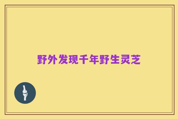 野外发现千年野生灵芝