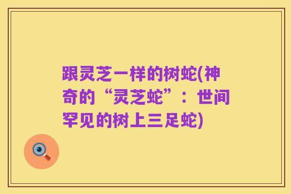 跟灵芝一样的树蛇(神奇的“灵芝蛇”：世间罕见的树上三足蛇)