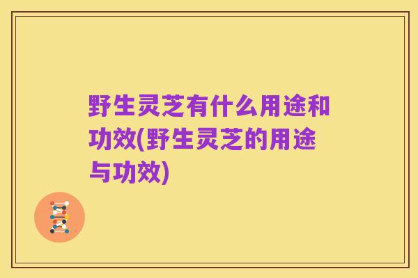 野生灵芝有什么用途和功效(野生灵芝的用途与功效)