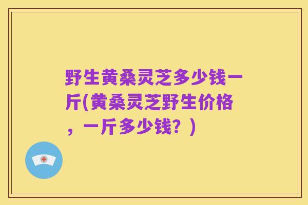 野生黄桑灵芝多少钱一斤(黄桑灵芝野生价格,一斤多少钱?)