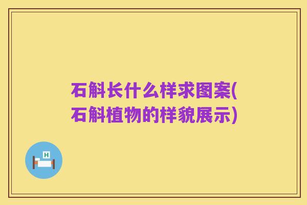 石斛长什么样求图案(石斛植物的样貌展示)