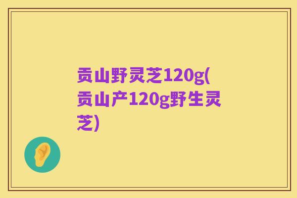 贡山野灵芝120g(贡山产120g野生灵芝)