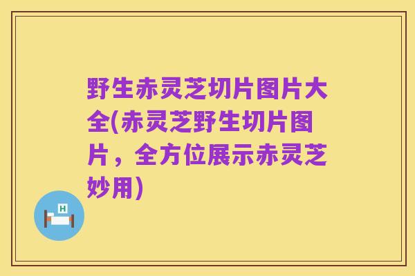 野生赤灵芝切片图片大全(赤灵芝野生切片图片，全方位展示赤灵芝妙用)