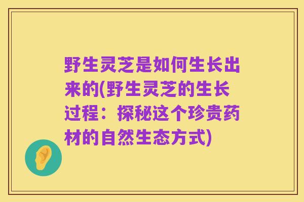 野生灵芝是如何生长出来的(野生灵芝的生长过程:探秘这个珍贵药材的自然生态方式)