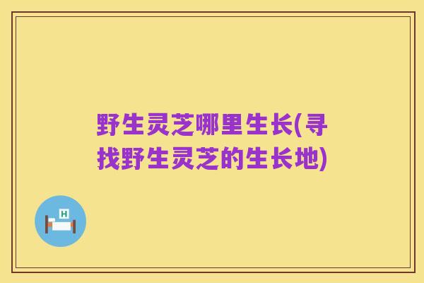 野生灵芝哪里生长(寻找野生灵芝的生长地)