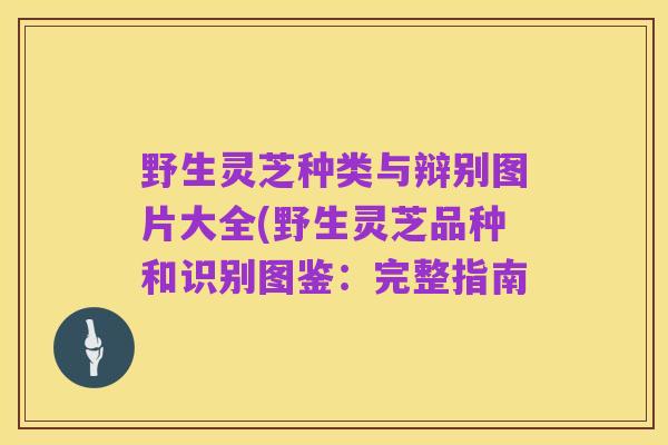 野生灵芝种类与辩别图片大全(野生灵芝品种和识别图鉴:完整指南