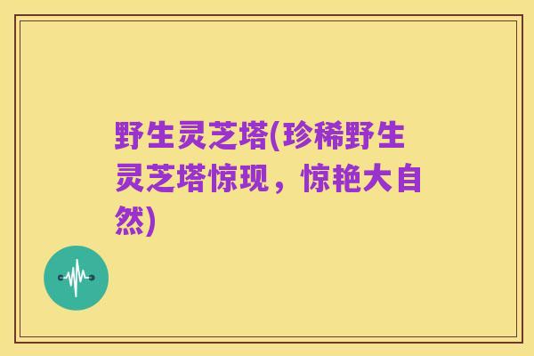野生灵芝塔(珍稀野生灵芝塔惊现,惊艳大自然)